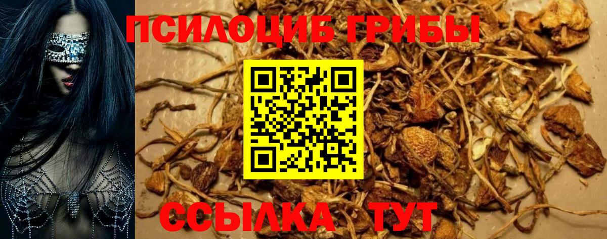 Железноводск  Галлюциногенные грибы мухоморы  Вход с VPN  Псилоцибиновые грибы GOLDEN TEACHER 